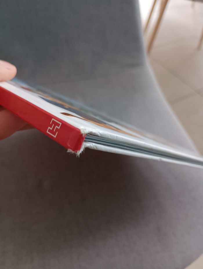 Livre pat patrouille un noël sous la neige - photo numéro 3