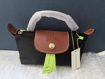 Mini sac longchamp