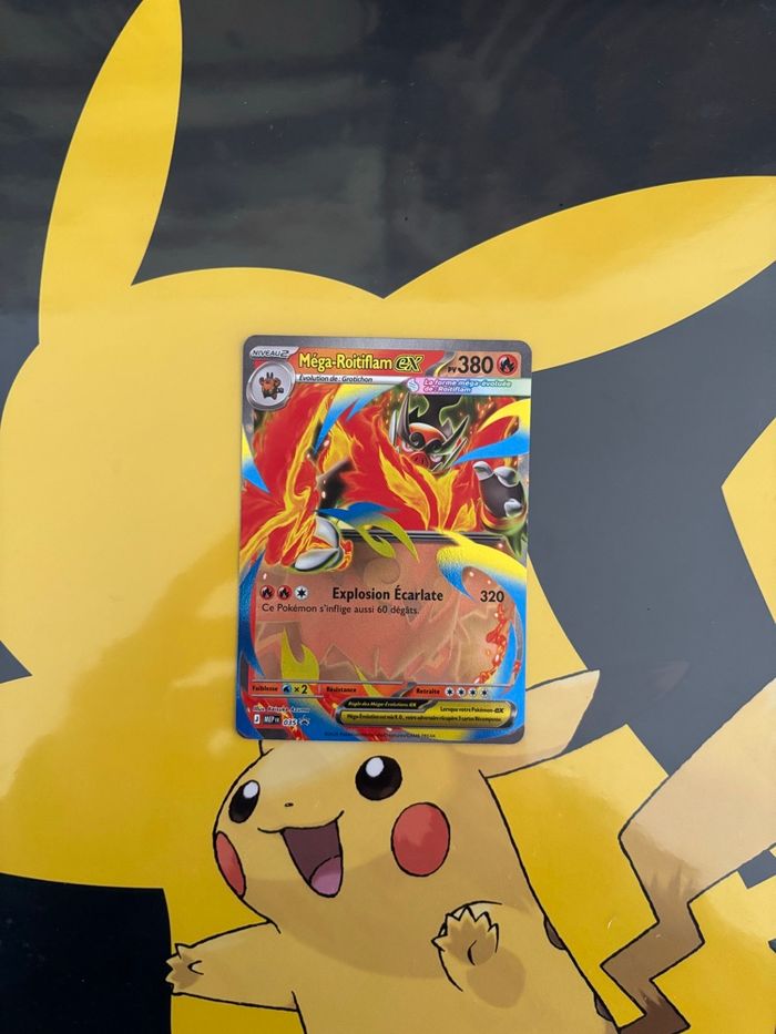 Mega Roitiflam EX 35 Promo - photo numéro 1