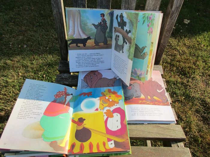 3 livres de 110 pages walt disney - photo numéro 5