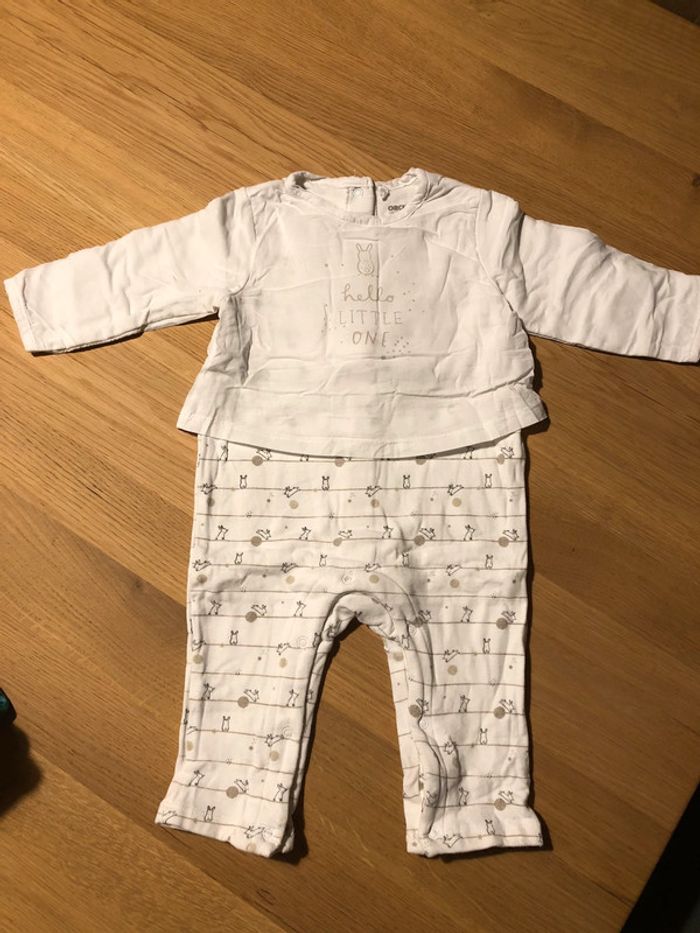 Ensemble Orchestra - photo numéro 3