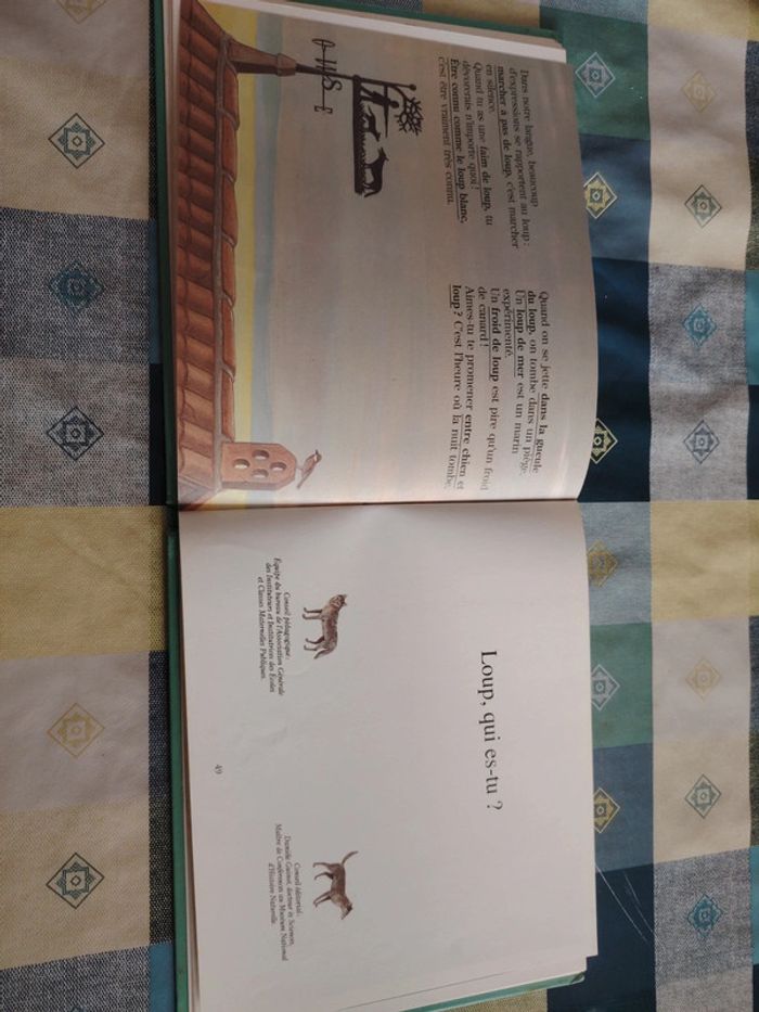 Livre sur le loup - photo numéro 14