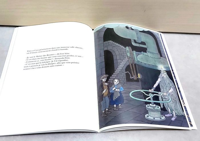 🌺 Livre (école des loisirs) : Maître des brumes - photo numéro 2