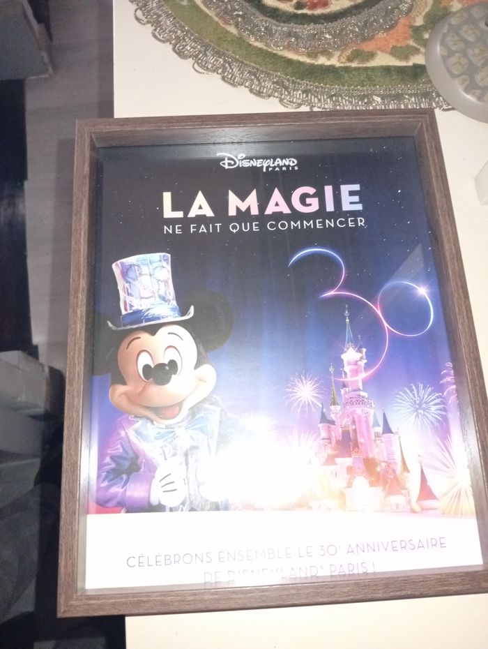 Cadre 30 ans de magie Disneyland Paris - photo numéro 3