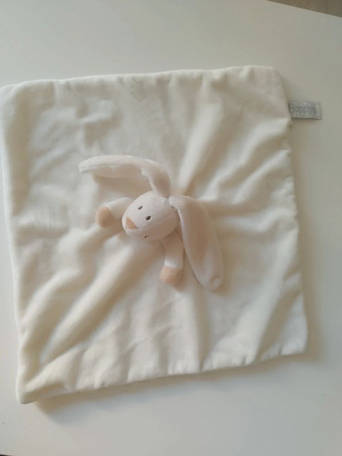 Lapin Floppys - photo numéro 2