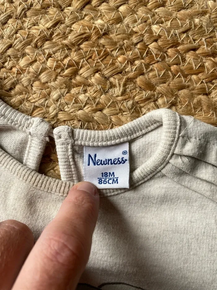 Petit pull 18 mois - photo numéro 3