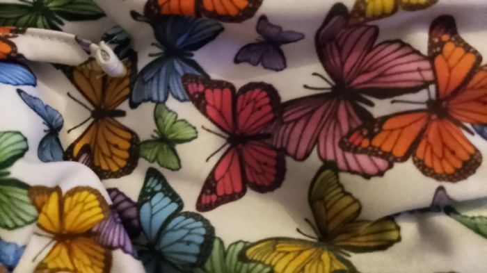 Robe été papillon