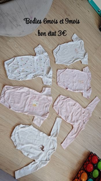 Lot 7 Bodies 6-9mois