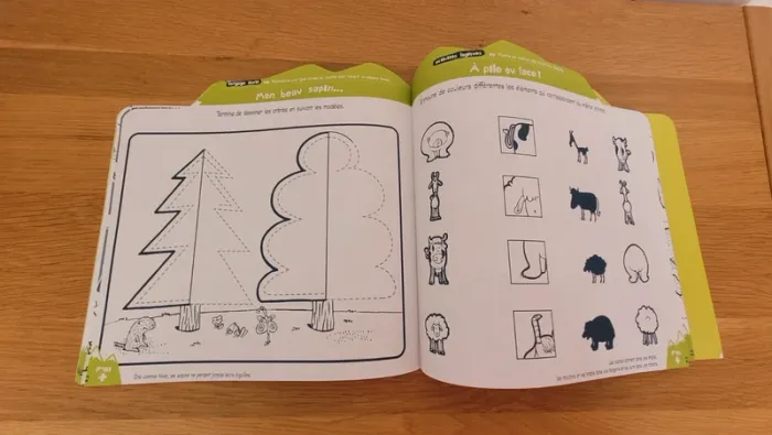 Livre d'activité pour enfants : "La montagne" - Comme neuf - photo numéro 6