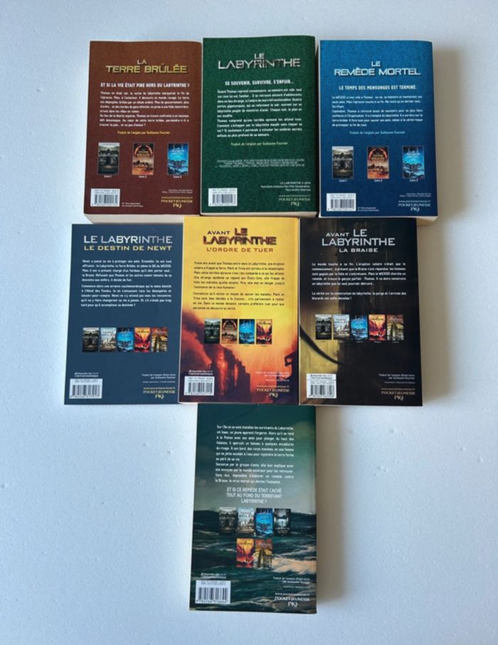 Saga le labyrinthe - photo numéro 2