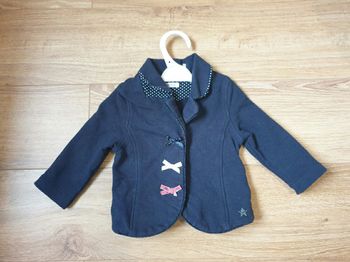Veste ikks