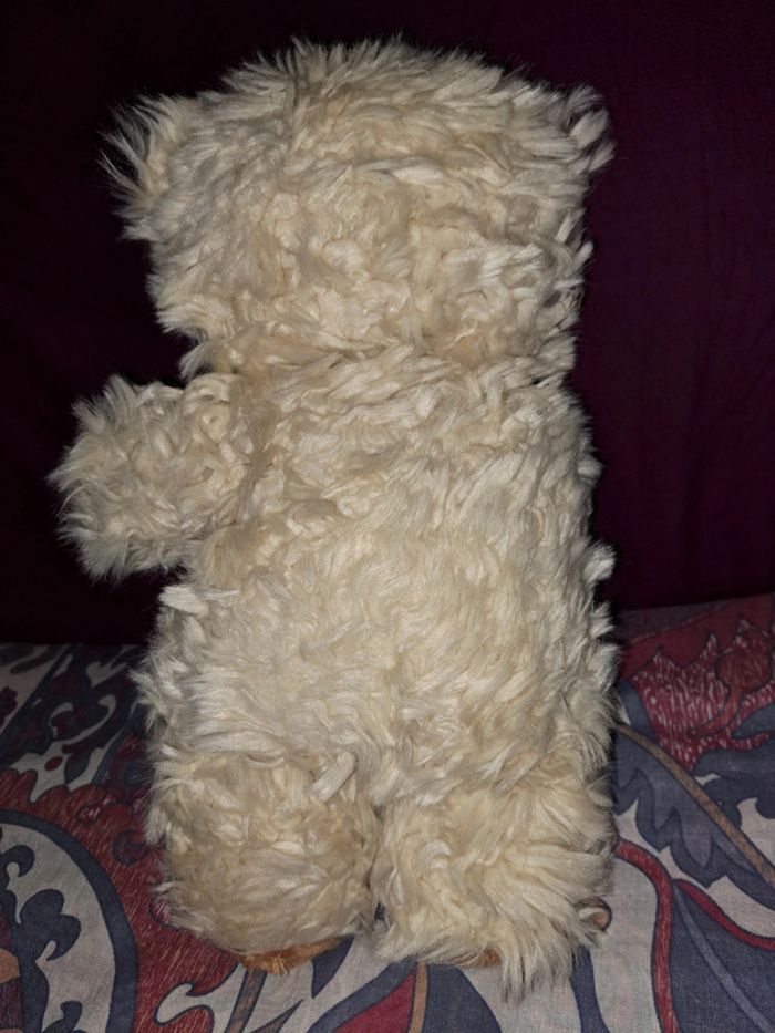 Ours en peluche - photo numéro 3