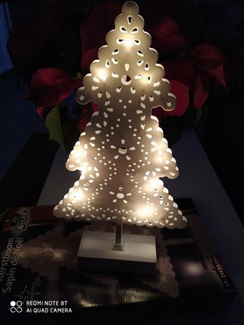 Sapin lumineux a led     a poser  oneuf