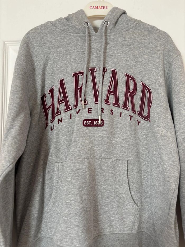 Sweat à capuche - photo numéro 3