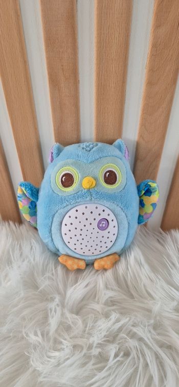 Veilleuse vtech lumi chouette bleu