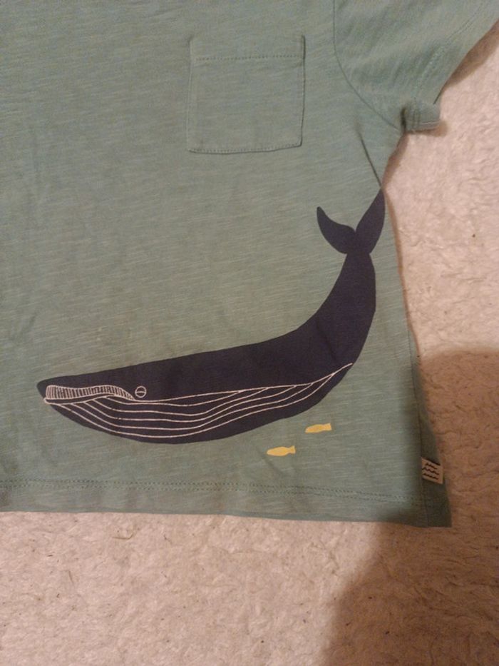 Teeshirt baleine vert d'eau 5 ans - photo numéro 2