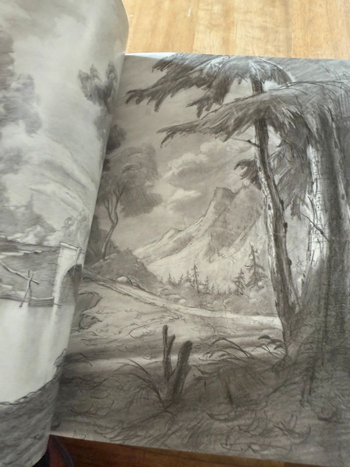 Grand livre rare Disney La Belle et la Bête - L’Histoire éternelle d’un chef d’œuvre Charles Solomon - photo numéro 13