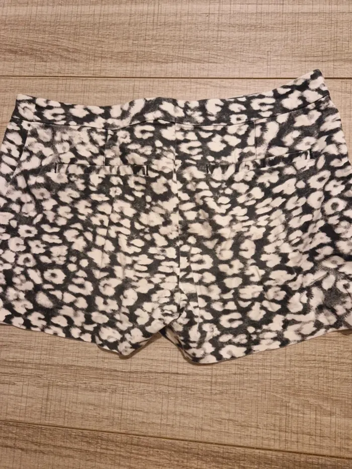 Short leopard - photo numéro 3