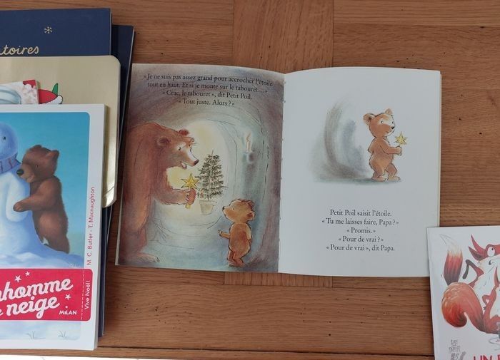 Lot de 7 livres thème Noël - photo numéro 7