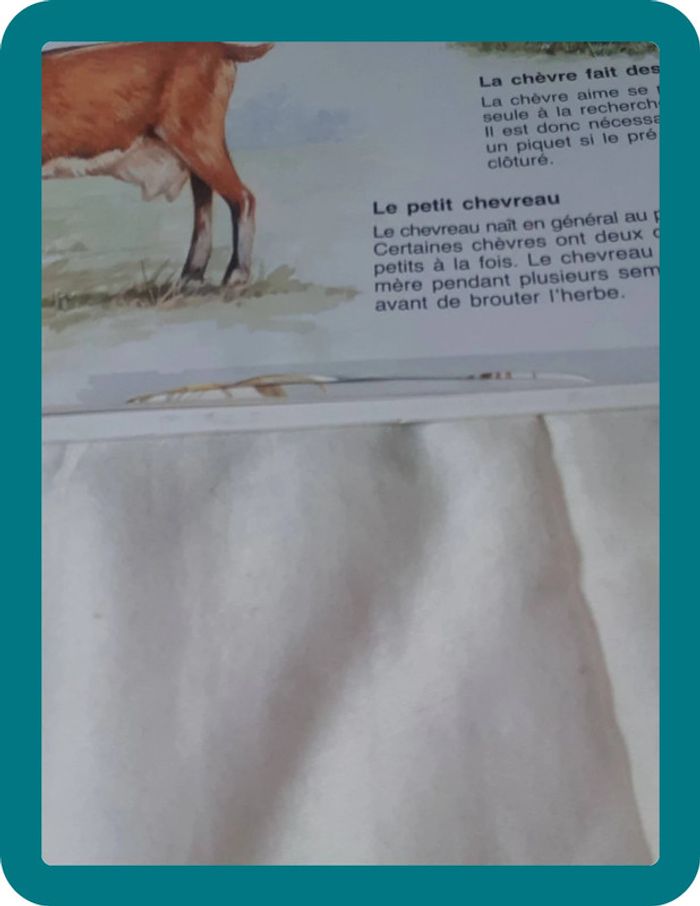 Livre - photo numéro 4