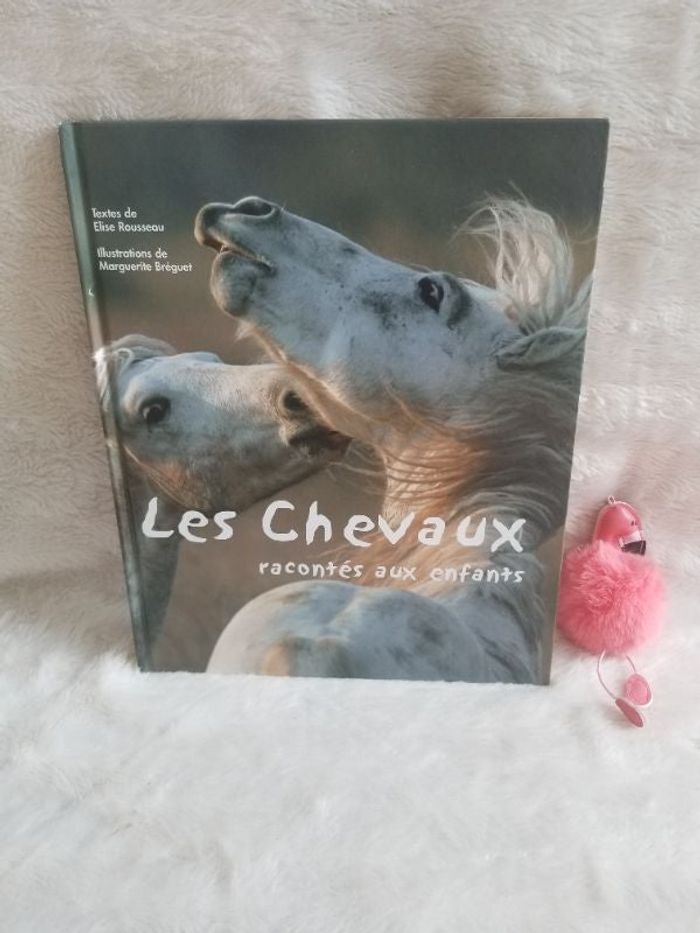 Livre les chevaux racontés aux enfants