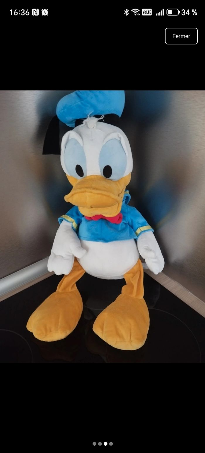 Donald - photo numéro 2