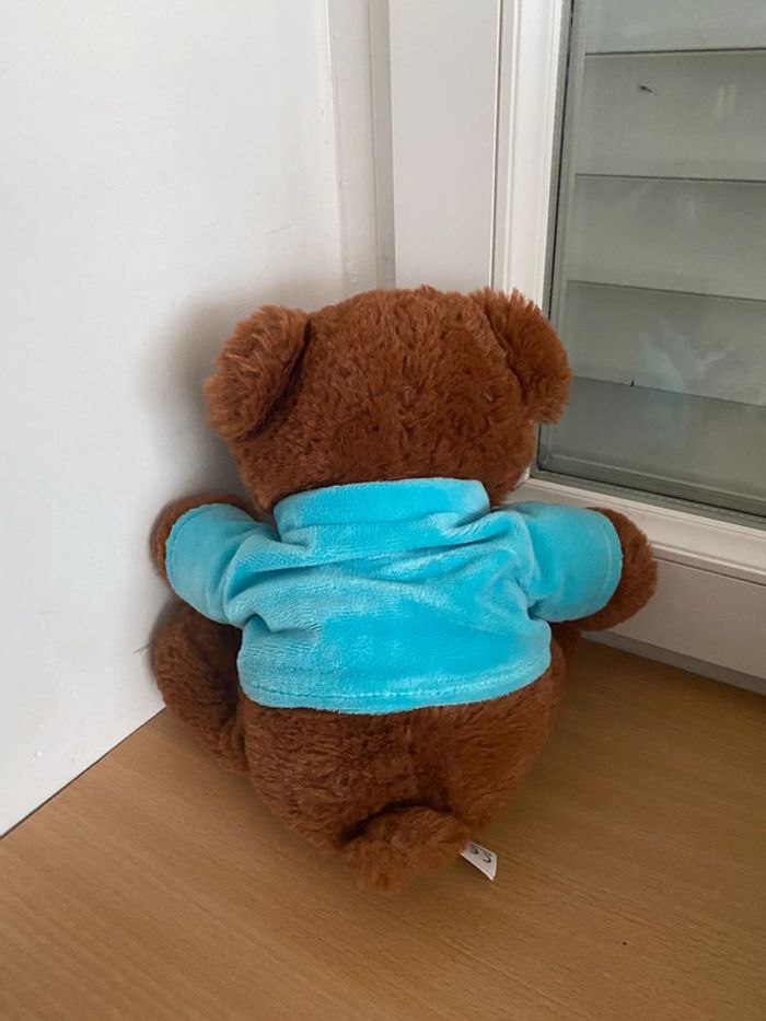 Petite peluche ours jemini c’est un garçon - photo numéro 2