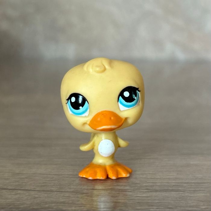 Petshop Canard #1654