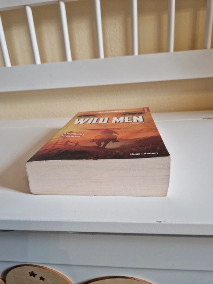 Livre romance - photo numéro 4