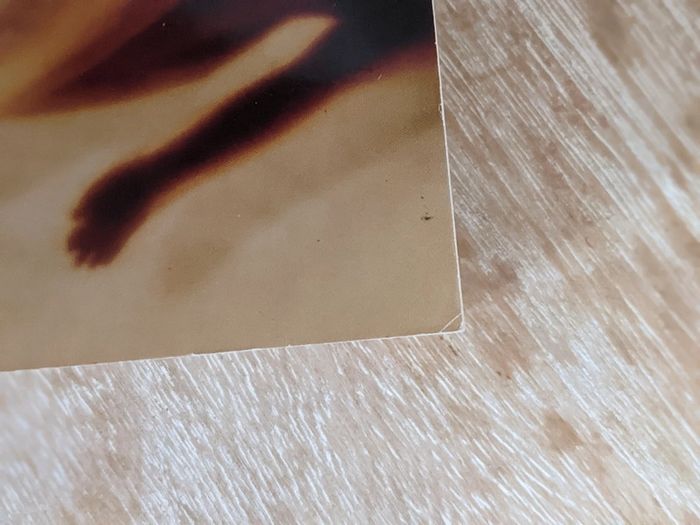 Sauve-moi - photo numéro 4