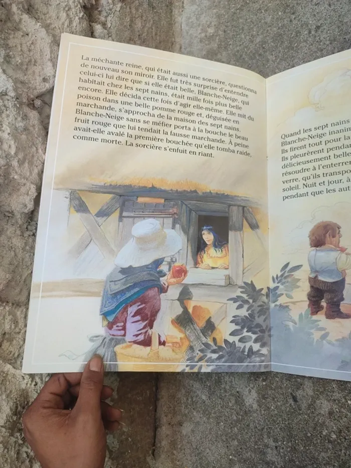Livre Blanche-Neige et les trois petits cochons - photo numéro 7