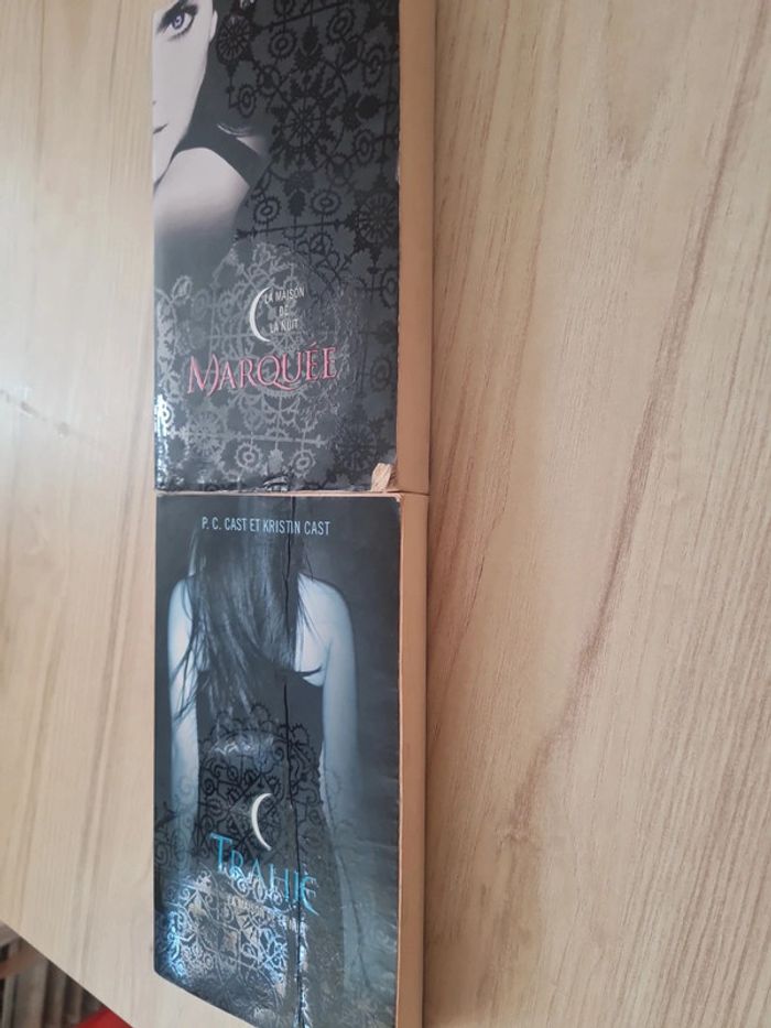 La maison de la nuit - tome 1 et 2 - kristin Cast - photo numéro 2