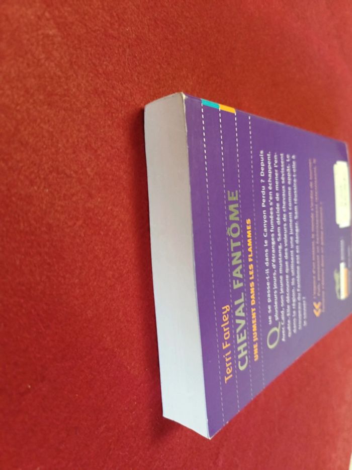 Cheval fantôme Tome 3 " Une jument dans les flammes " Terri Farley - photo numéro 16