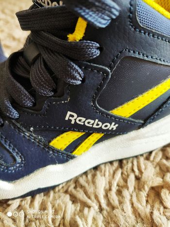 Basket reebok