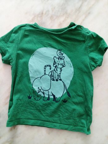 Tee Shirt vert motif éléphant et tigre Kiabi