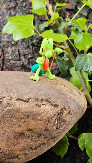 Super figurine Pokemon Nintendo Arcko