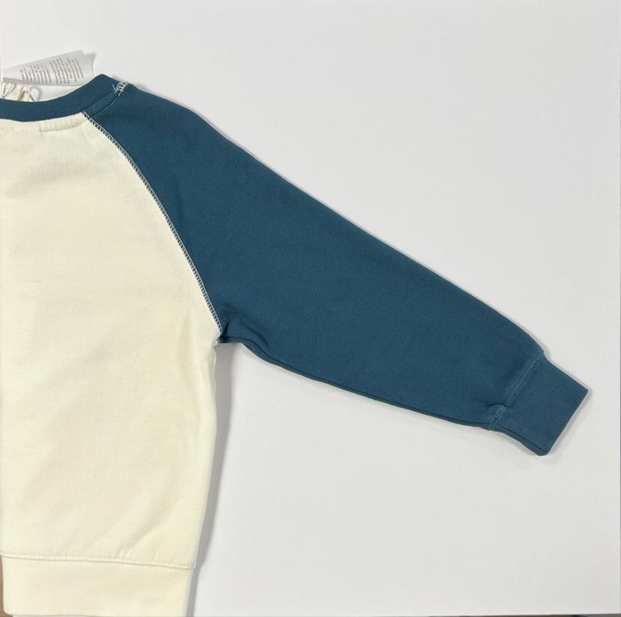 Pull. - photo numéro 7