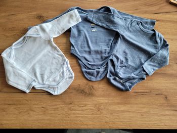 Lot 3 bodies