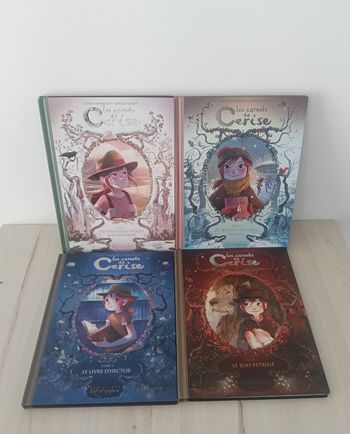 Livre les carnets de cerise 