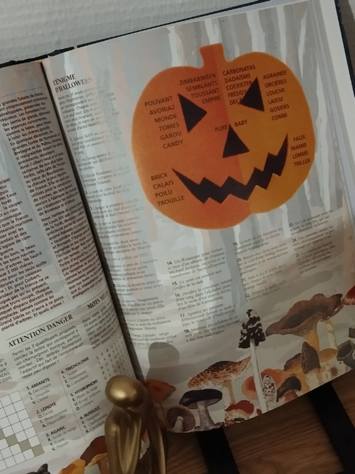 Ouvrage Almanach de l'humour et des jeux de l'esprit 2001 - photo numéro 10