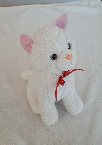 Peluche chat 🐱