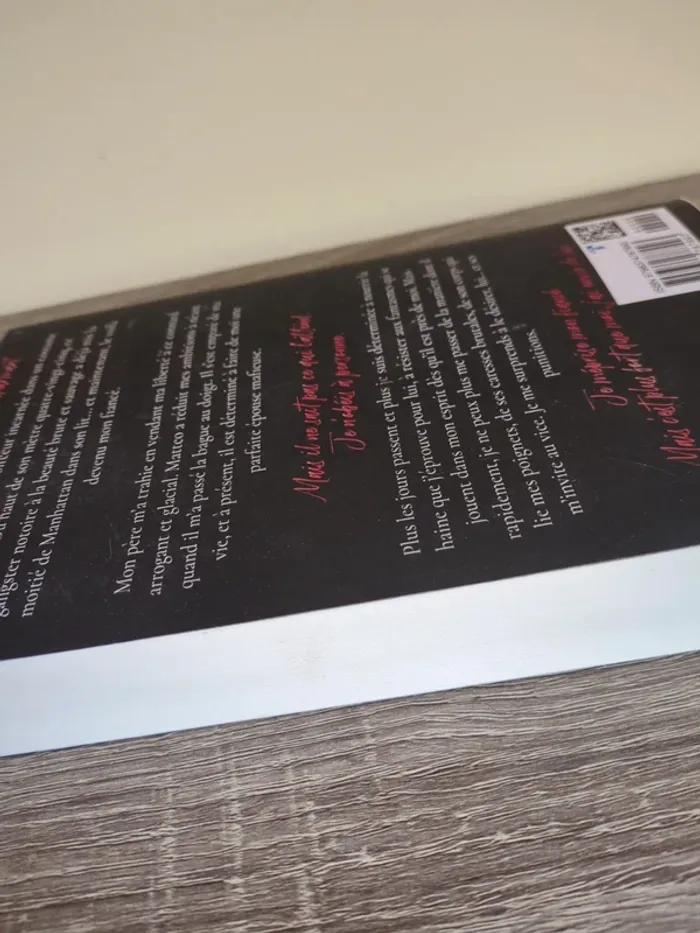 Livre dark romance Un chef sauvage de Kristen Luciani - photo numéro 5