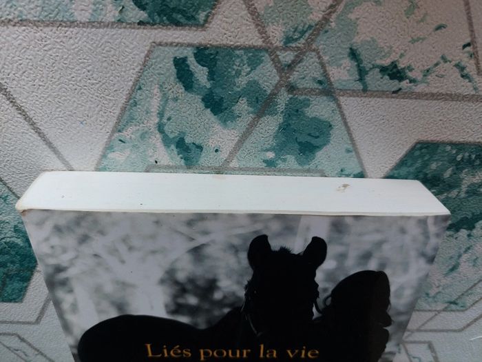 Laetitia Milot - Liés pour la vie - photo numéro 9
