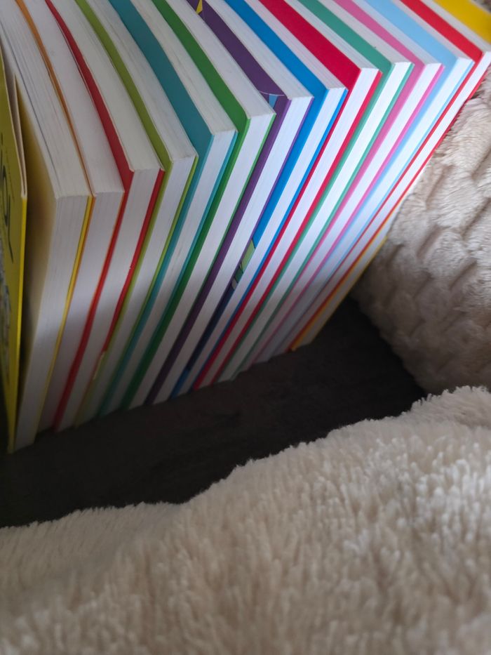 Lots de 14 livres ariol 8€ l’uniter - photo numéro 2
