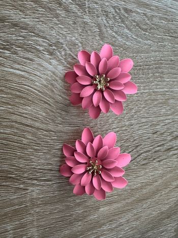 Boucles d’oreilles neuve