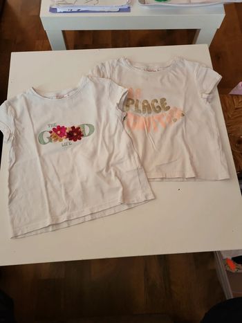 Lot 2 tee shirt tao 3ans
