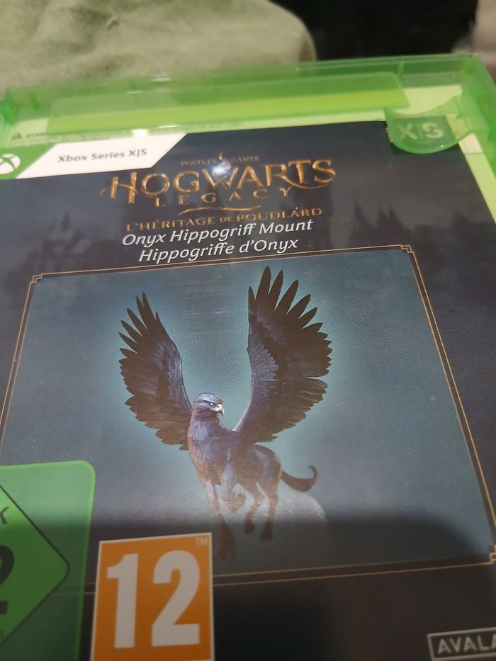 Jeux Hogwarts legacy sur Xbox serie x - photo numéro 5