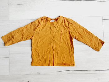 Vêtement bébé garçon tee-shirt manches longues Zara 2 ans