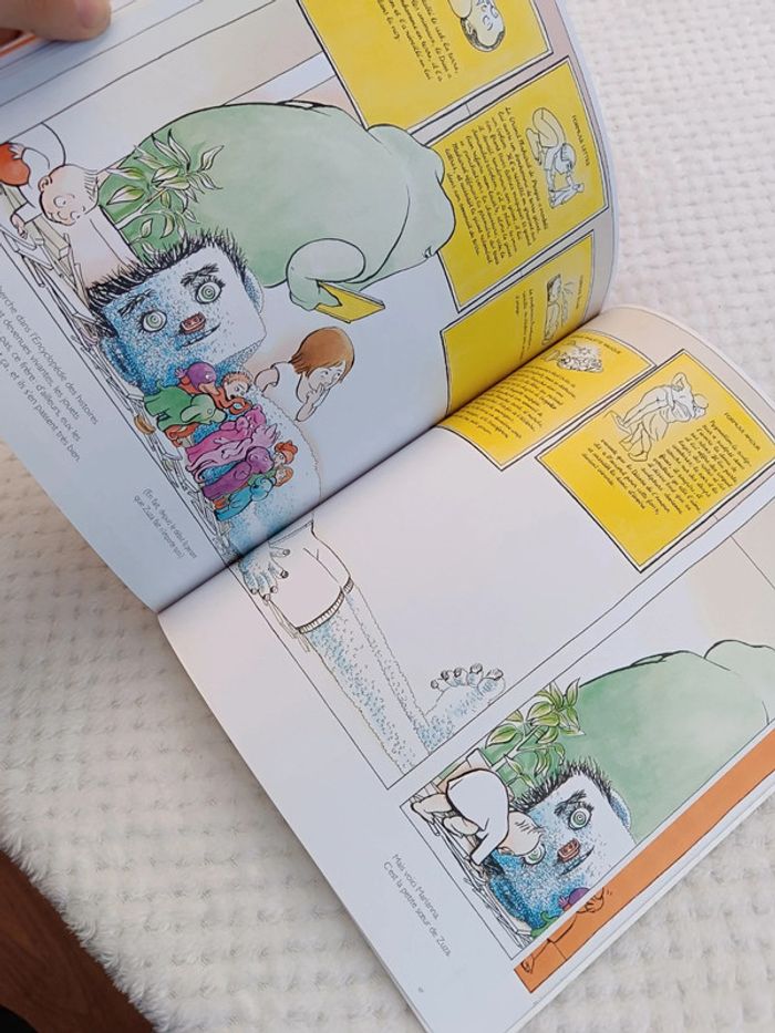 🔸Livre "Comment fabriquer son grand frère" Anaïs Vaugelade🔸 - photo numéro 4