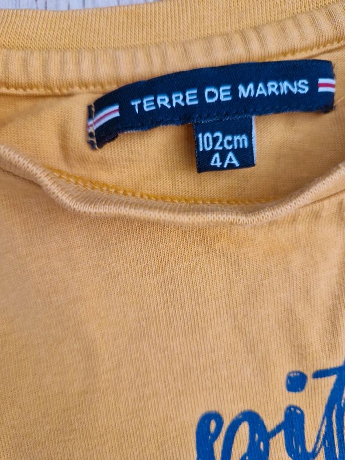Ensemble capitaine et requin 🦈 - photo numéro 3